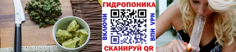 блэк спрут ССЫЛКА  закладка  Новокубанск  Cannafood марихуана 