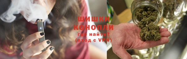 гидра Алзамай